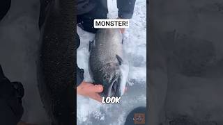 They Caught A Monster