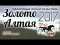 ПРИЗ "БОЛЬШОЙ БЕЛОКУРИХИНСКИЙ" 3 ГИТА. Золото Алтая 2017