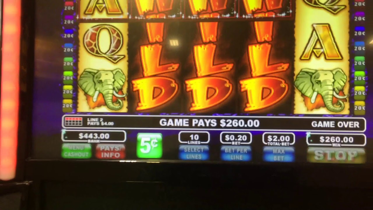Jogos caca-niqueis de cassino gratis 80âs Night Life Jogos caca-niqueis de cassino gratis 80âs Night Life
