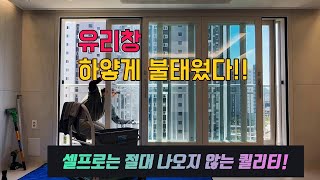 아파트 유리창 청소! 상가 유리창 보다 57,000배 힘든 작업