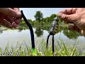 Fishing experiment senko vs the frogbest early summer pond bass fishing lure