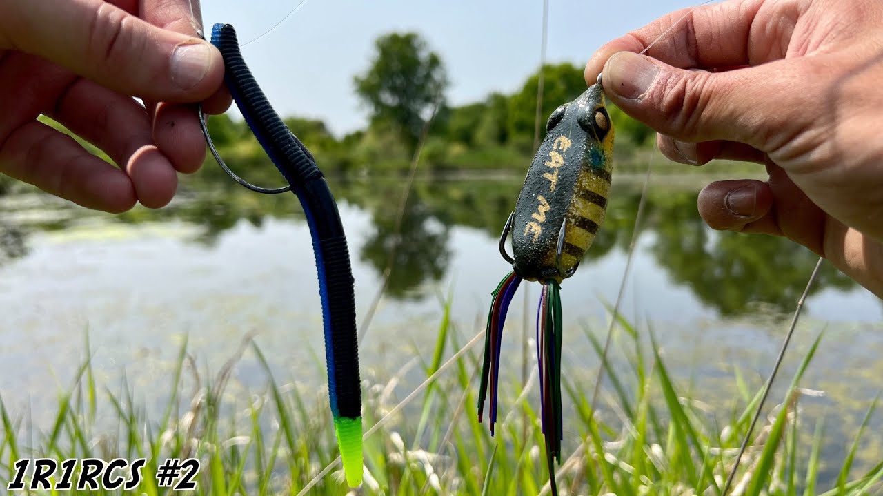 FISHING EXPERIMENT: Senko vs. the Frog!!!(Best EARLY SUMMER Pond Bass  Fishing Lure) 