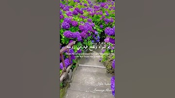 سورة السجدة الآية(7)||الَّذِي أَحْسَنَ كُلَّ شَيْءٍ خَلَقَهُ||القارئ إسلام صبحي #قرآن