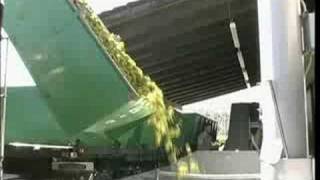 Winery Equipment In Action
