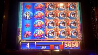 Dashing Dolphins Slot Machine Bonus