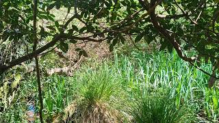 Monte Playa de Campelo, Valdoviño, Galicia
