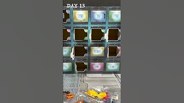 LEGO Advent Calendars - Opening DAY 13