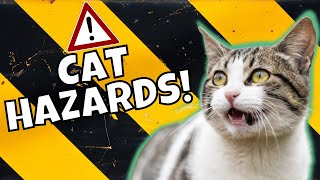 12 Cat Hazards in Your Home (& How to Cat-Proof Them)