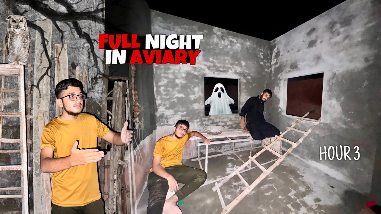 Surviving Full Night in Under Construction Birds Aviary😰