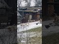 Деревенская жизнь