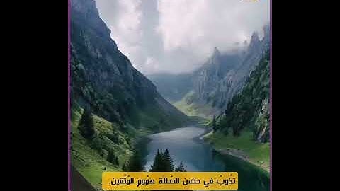 تلاوة تأخذك إلى عالم آخر بصوت القارئ فارس عباد..