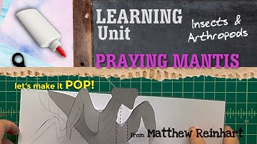 Learning Unit: Insects and Anthropods: Praying Mantis from Matthew Reinhart
