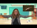 Take a Break with this Fun Animal Game | WQLN Homeroom Minutes