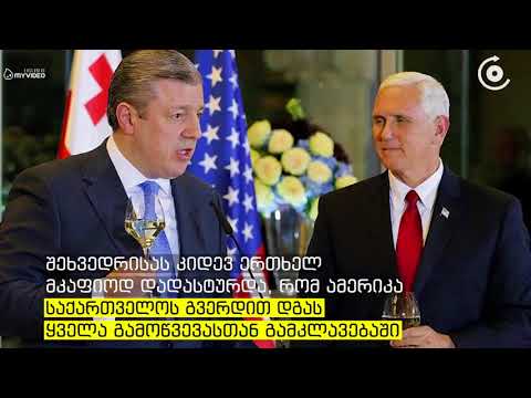გიორგი კვირიკაშვილს აშშ ის ვიცე პრეზიდენტმა საკუთარ სახლში უმასპინძლა