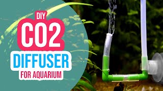 3 Creative DIY CO2 Diffuser Ideas for Your Planted Aquarium