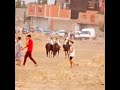 الفارس شوقي بن يحي و مريخي بن يحي وعبدو دداش فرسان مجانة برج بوعريريج الله الله المقاومة ابوني الفارس شوقي بن يحي و مريخي بن يحي وعبدو دداش فرسان مجانة برج بوعريريج الله الله المقاومة ابوني