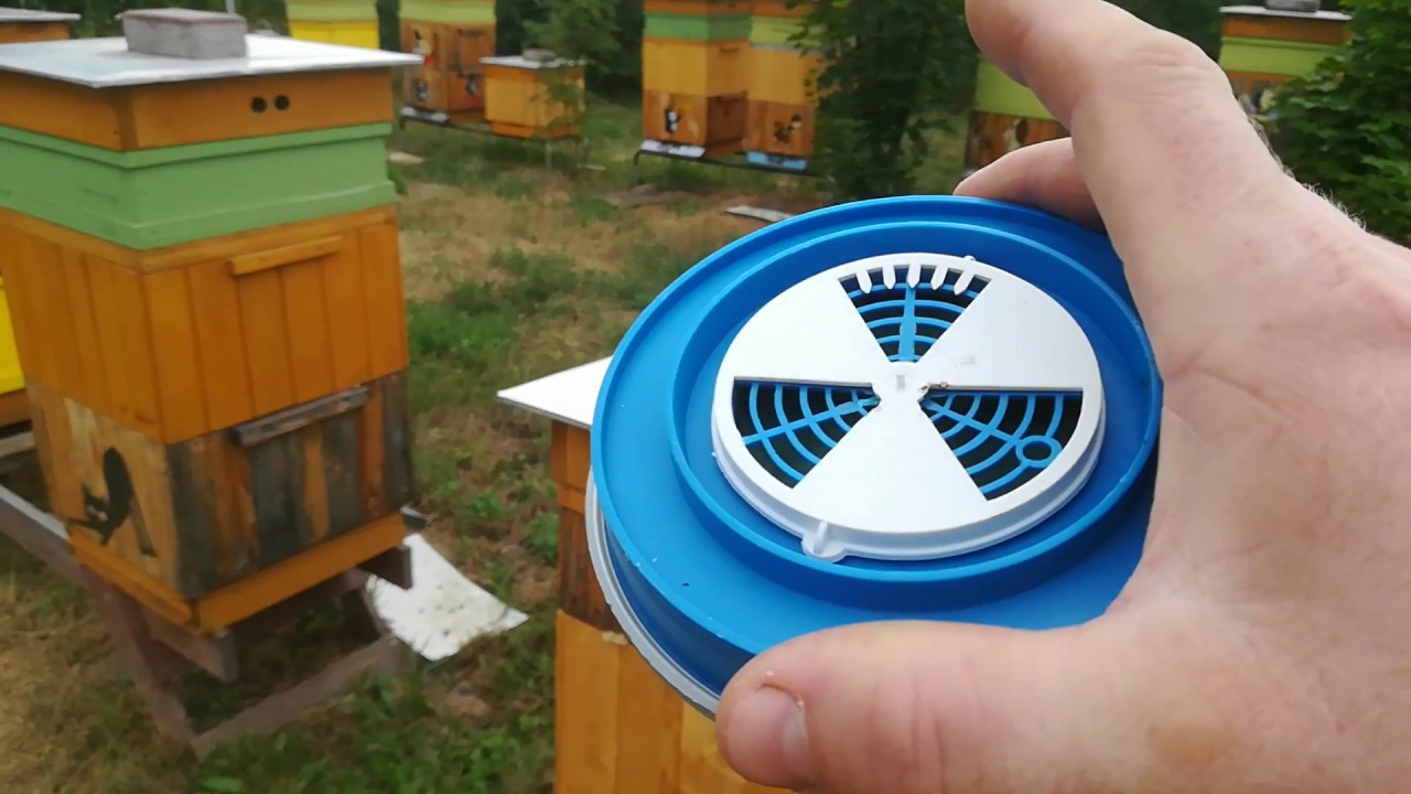 Kwas mrówkowy, parowniki.