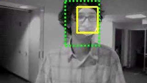 Incremental Visual Tracking