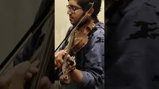 Video thumbnail of "Summer of 69 |guitar & violin |"