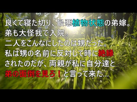 【スカッとする話】良くても寝たきり、ほぼ植物状態の弟嫁。弟も大怪我。二人をこんなにしたのは甥だった。甥の名前に反対して時に絶縁された結果・・・