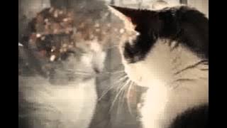 Time Bomb Blues - Mungkin