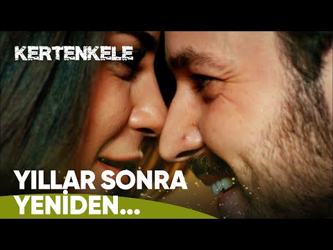 Her şeyi boşver...Gel