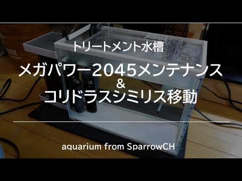 メガパワー45メンテナンスとシミリス移動 Youtube