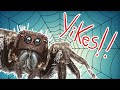 Spider Interview Quiz