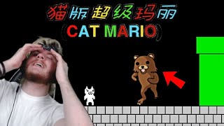 i raged so hard i almost PASSED OUT | CAT MARIO screenshot 4