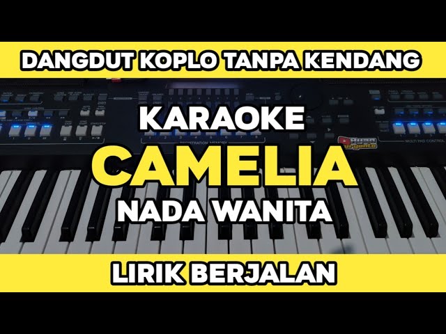 Camelia - Versi Dangdut Koplo Tanpa Kendang Karaoke Lirik Berjalan Nada Wanita | Yamaha PSR SX600 class=