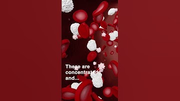 PRP Injection Treatment