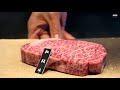 $225 Matsusaka Sirloin Steak - Japan's most expensive Beef