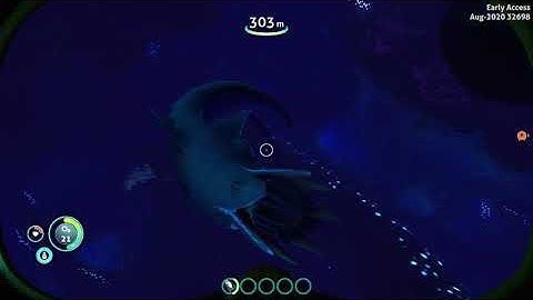 Subnautica Below Zero squid shark attack animation and kill animation