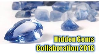 Hidden Gems Major Reviewer Collaboration 2016 Hidden Gems Major Reviewer Collaboration 2016