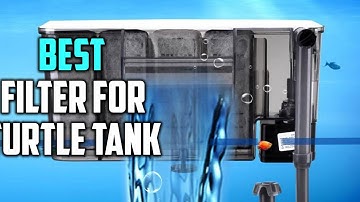 Top 5 Best Filter for Turtle Tanks Review 2023 | High Performance Aquarium Filter, Canister Filter