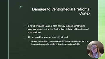 Sarah Glatt - Signature Assignment