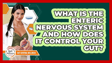 What Is The Enteric Nervous System And How Does It Control Your Gut? - Gut Wellness Central