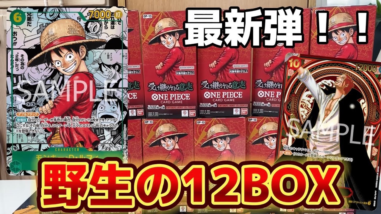 【カートン超え！？】最新弾！かき集めた受け継がれる意志を12BOX開封したら宇宙 w w w w 【ワンピースカード】
