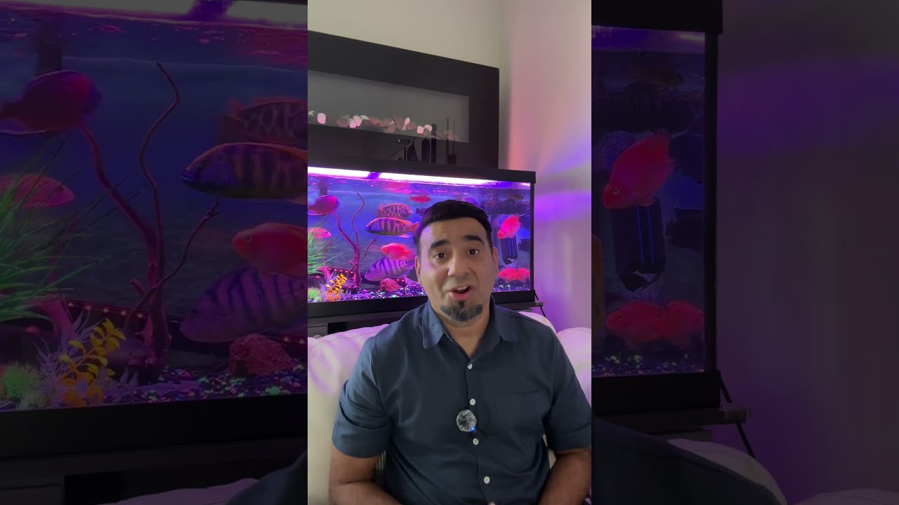 What’s the Cost of Living in Ashburn VA?