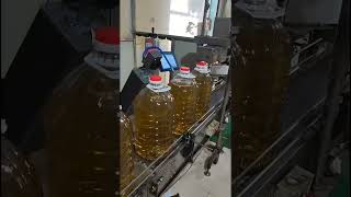 Famous 30W CO2 laser printer for oil bottle printing Wealth