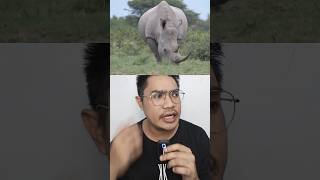 HOW TO STAY SAFE FROM RHINO ATTACK!