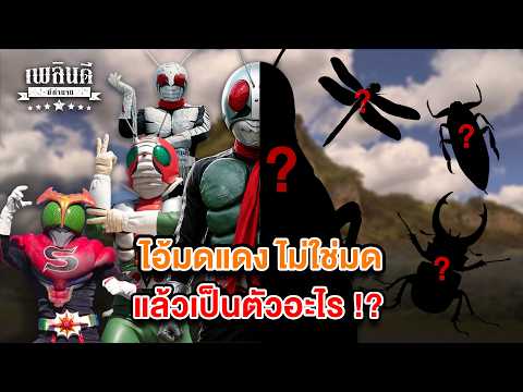 ไอ้มดแดง ไม่ใช่มดแล้วเป็นตัวอะไร !? | เพลินดีมีตำนาน