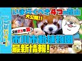 【市川市の広報番組】いちにゅ〜 No.007 市川市動植物園 最新情報！2023年夏、いま行くべき４つのワケ！
