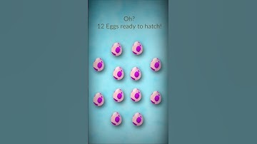 Hatching 12×12 eggs for shiny - rare Pokémon #shorts #eggs #hatch #ultragoo #game #lucky #rare
