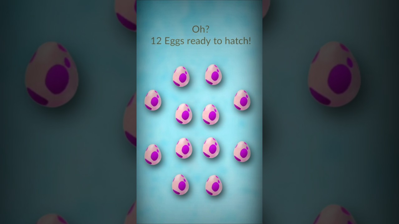 Hatching 12×12 eggs for shiny - rare Pokémon 