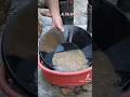 GOLD PANNING #goldpanning #altinavcisi1 #goldpan