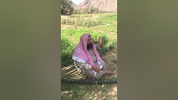 دحيم الحماد تلاوة من سورة نوح بالضرم برنية ١٤٤١هـ