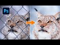 Remove a Fence with Spot Healing Brush in Photoshop