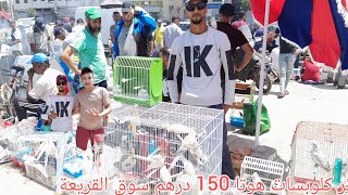 سوق القريعة ️‍ تعرف على أتمنة مختلف أنواع طيور 2023/7/30 طيور
