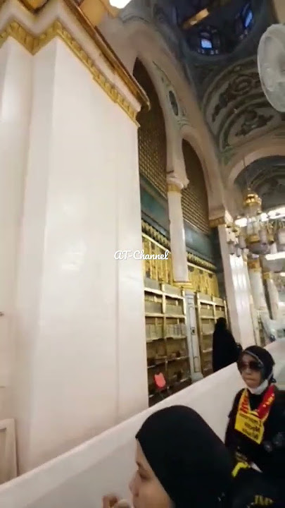 Jamaah Berdesakan, Pamitan di Makam Rasulullah #raudhah #makamrasulullah #tamansurga #videoshorts